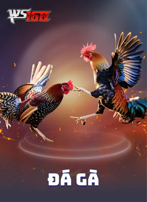 Chắn